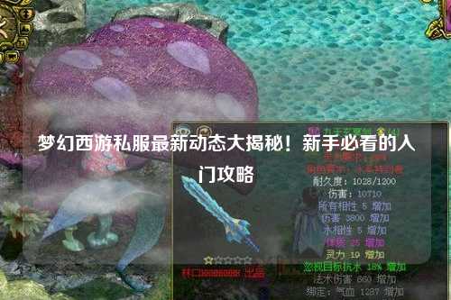 夢幻西游私服最新動態大揭秘！新手必看的入門攻略