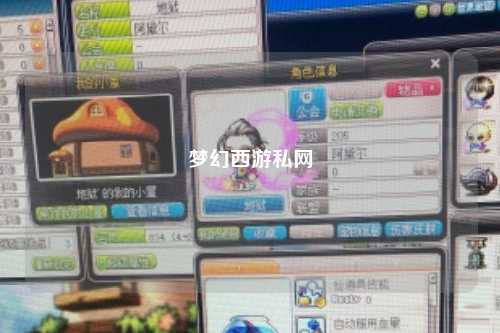 夢幻西游私網